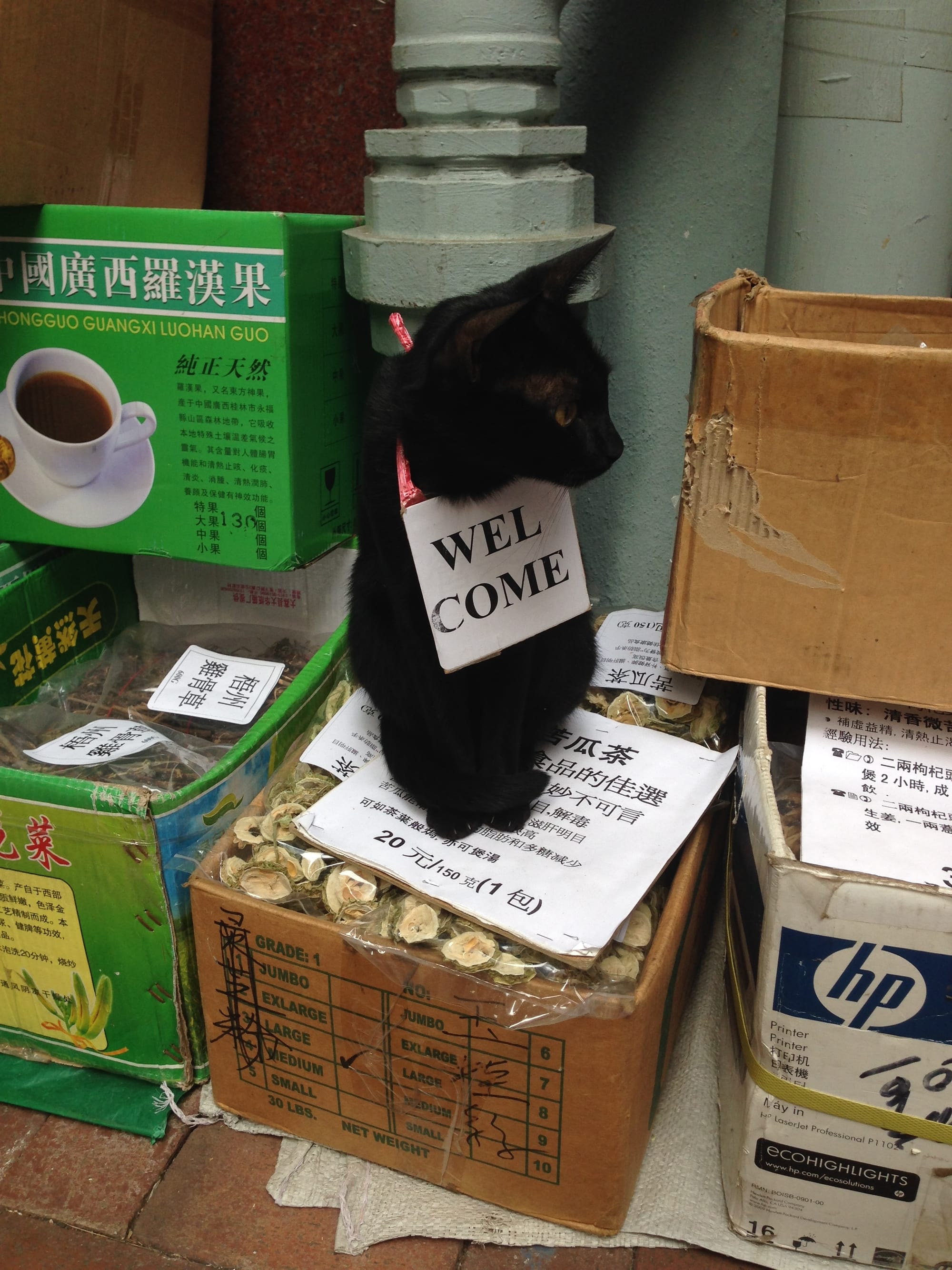 A black cat with a 'Welcome' sign tied to its neck sits on a box of dried herbs