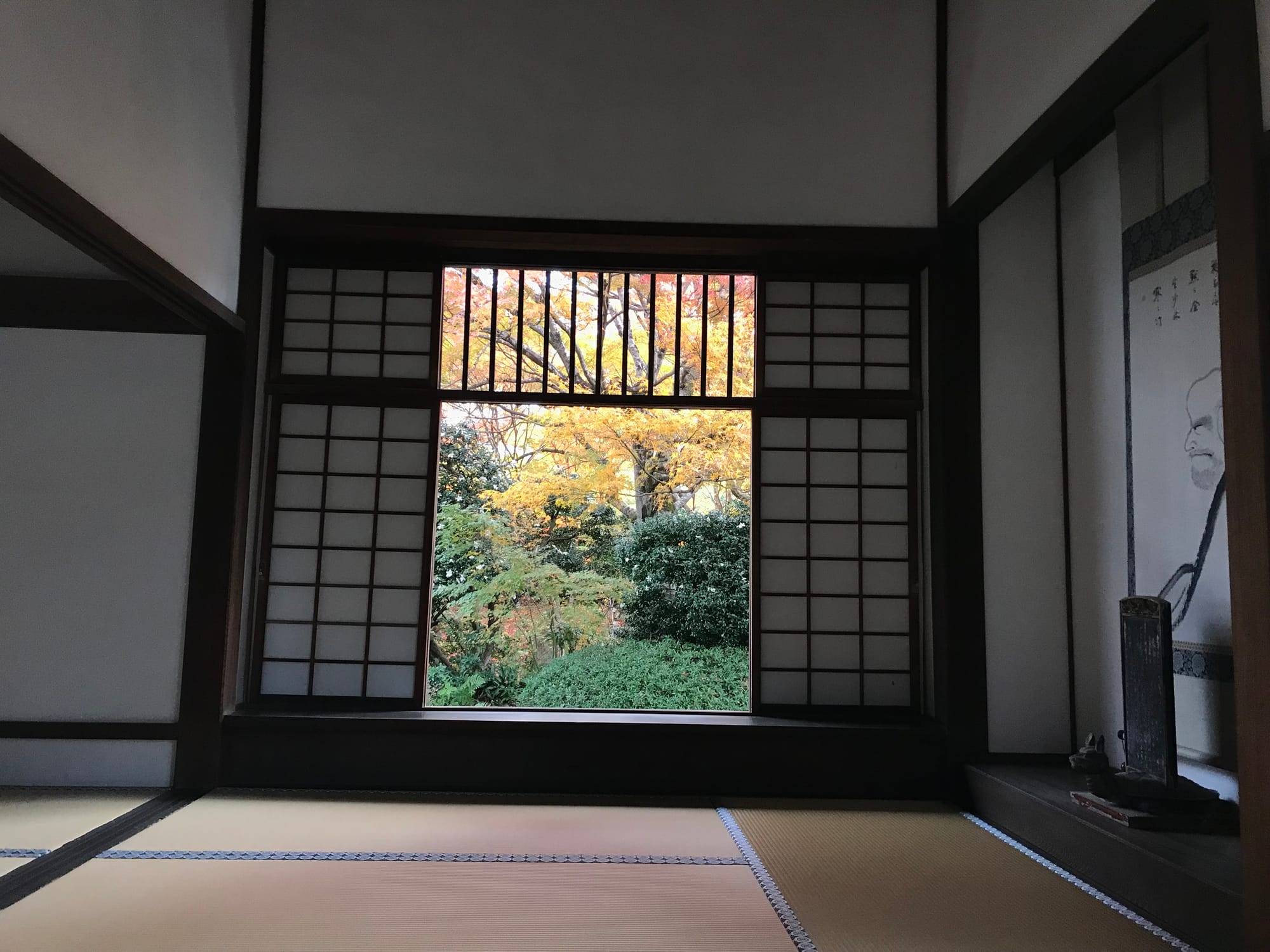 View of a square window with green shrubbery and yellow autumn foliage; tatami mat in the foreground