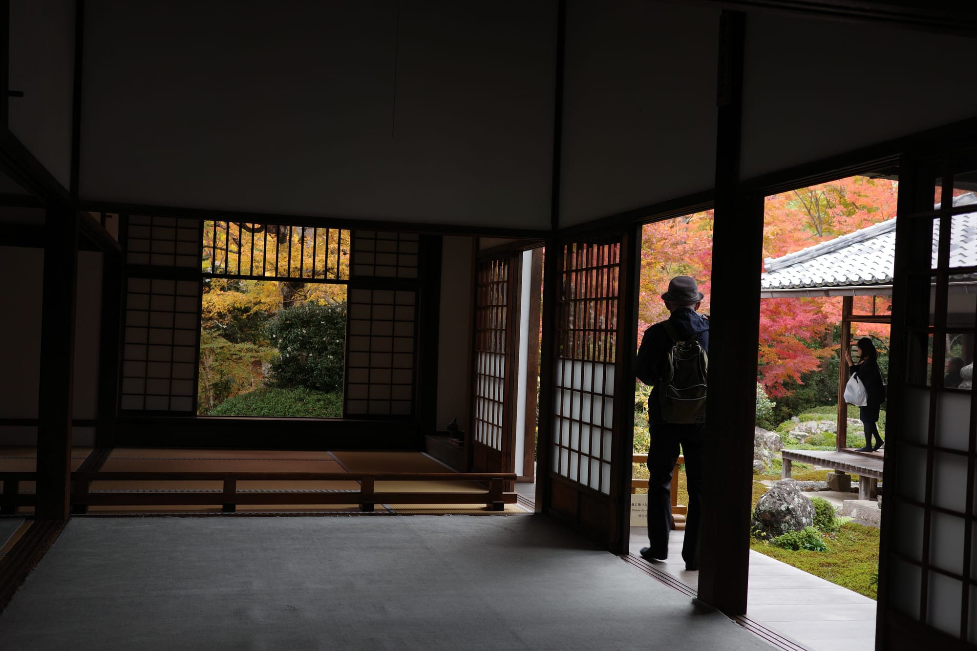 A view of a rectangular window looking out onto a tree with yellow leaves. A man stands on the right by some sliding doors. In the distance, in another part of the temple,  a woman is taking a photo of the garden.