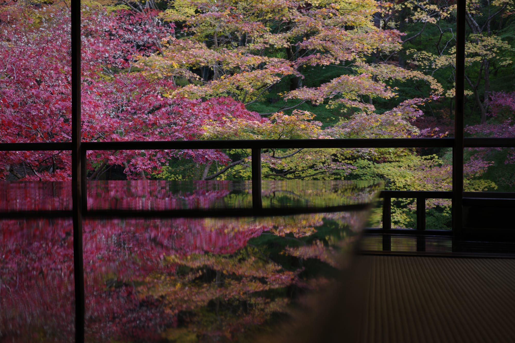 Reflections of red (and some yellow) foliage off shiny tables merge with real-life counterparts