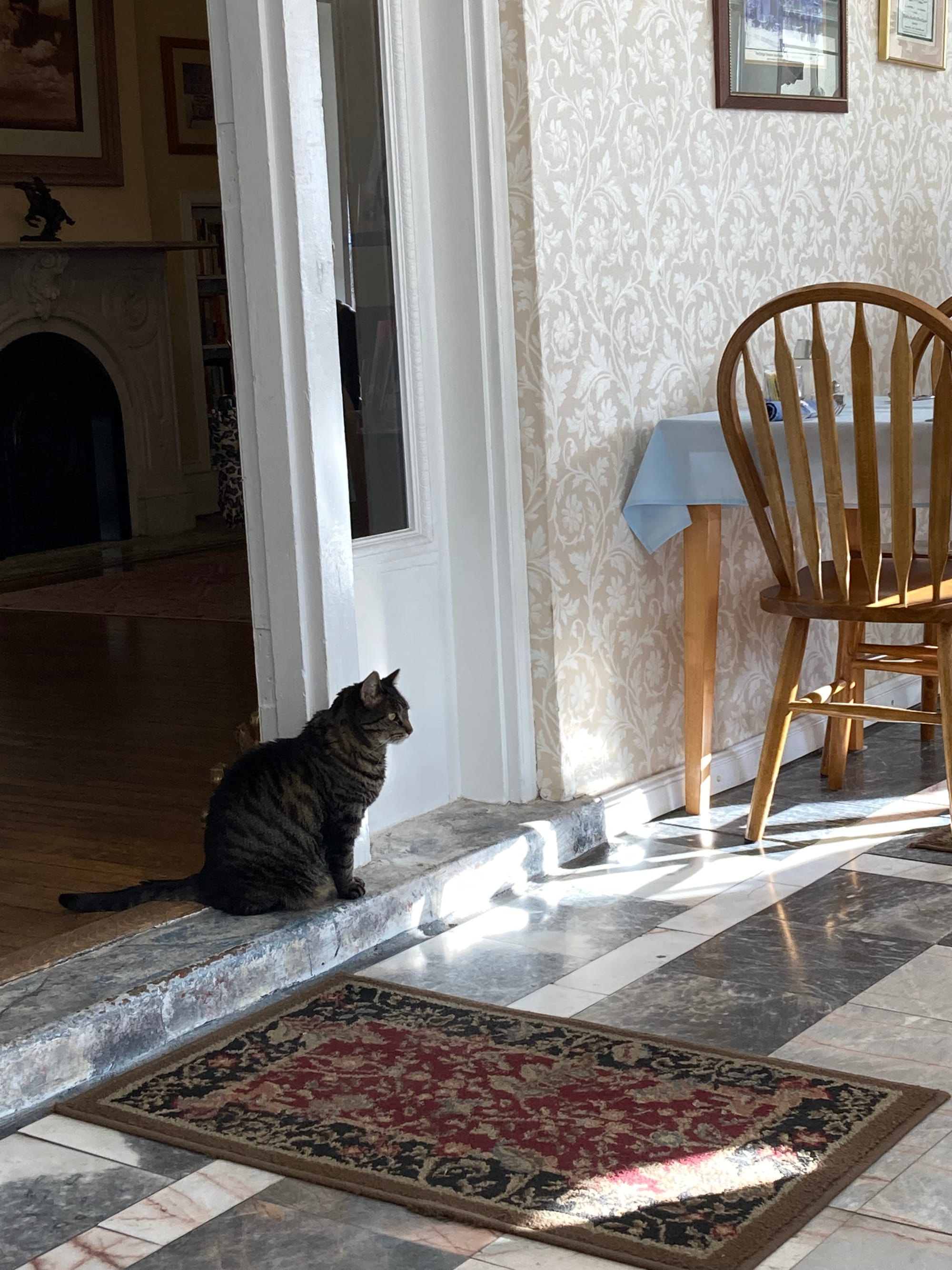 A tabby cat sits by a white door frame