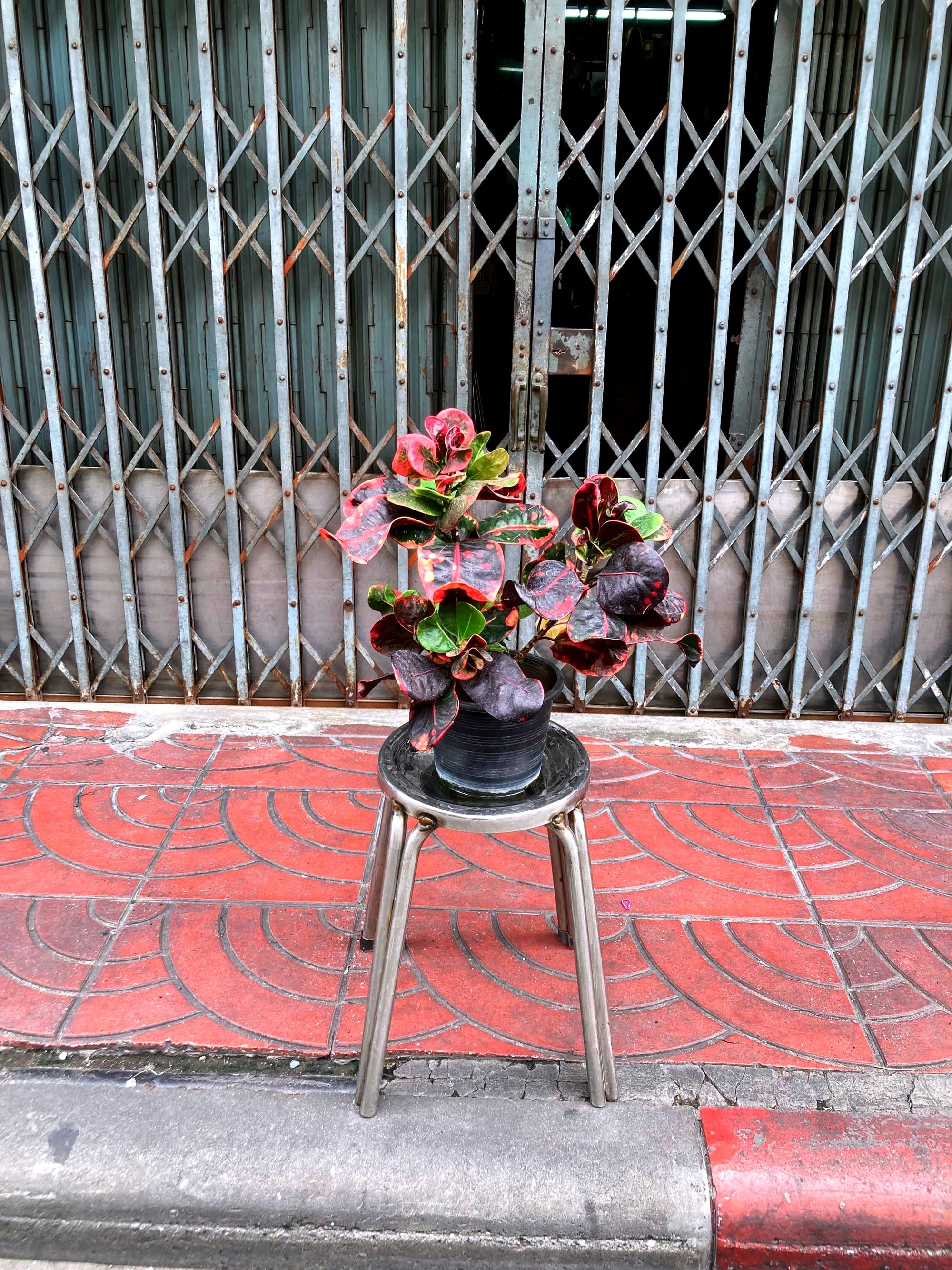 A potted plant on a stool has been placed in the middle of a sidewalk, somewhat blocking the way.