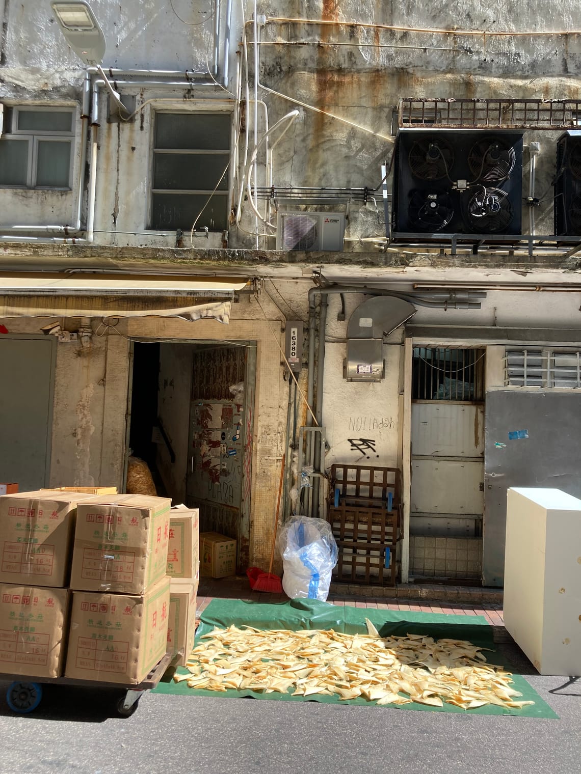 In a back alley, some dried shark fins are being sunned on a green plastic sheet next to boxes stacked on a metal trolley.