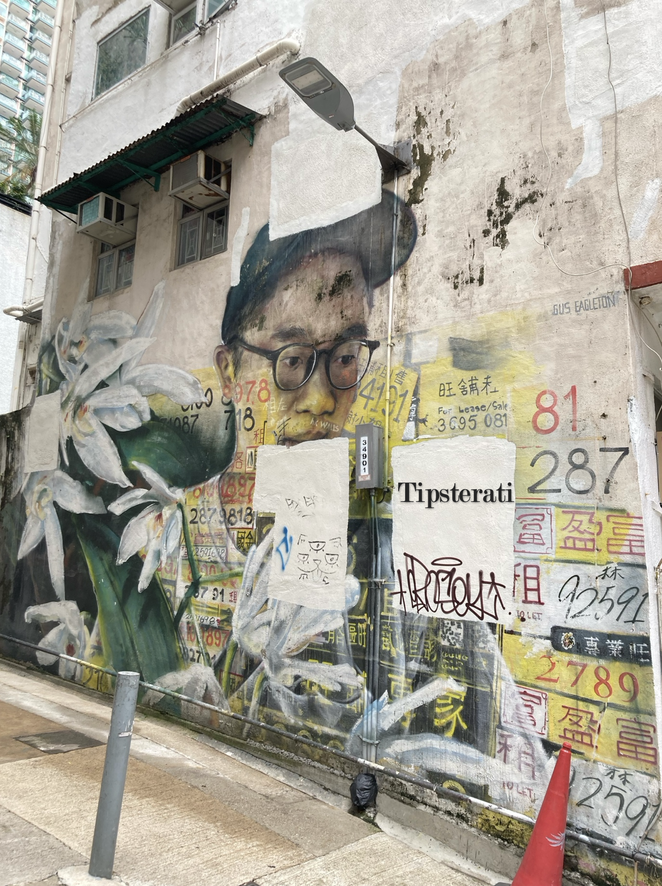 Street art of a Chinese man in a cap with orchids, but patches of the mural have been painted over.