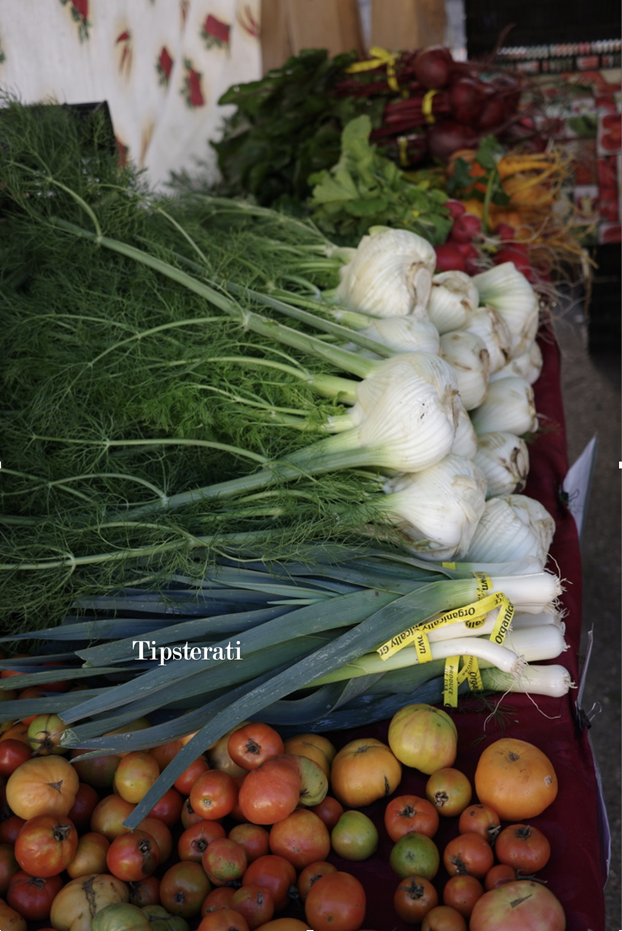 An abundance of tomatoes, leeks, fennel bulbs are spread on a table.